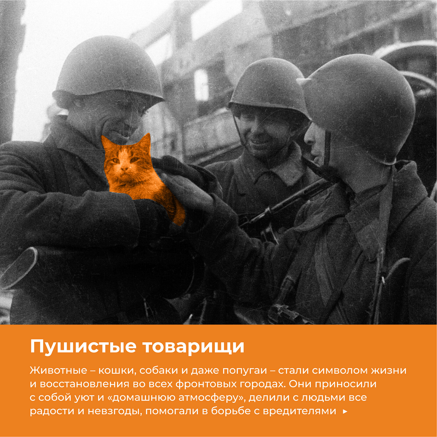 С Днем Великой Победы!